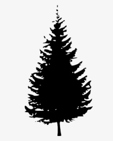 Clip Art Pine Tree Fir Vector Graphics - Evergreen Tree Silhouette Png, Transparent Png, Free Download