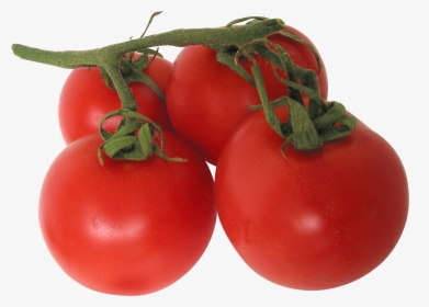Now You Can Download Tomato Icon Png - Tomato Png Transparent, Png Download, Free Download