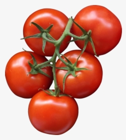 Tomato,superfood,plant - Transparent Background Tomatoes Clipart, HD Png Download, Free Download