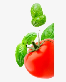 Transparent Tomatoe Clipart - Tomato And Basil Png, Png Download, Free Download