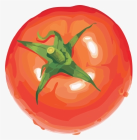 Tomato Cartoon Png - Tomato Drawing Transparent Background, Png Download, Free Download