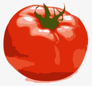 Tomatoes Drawing Cherry Tomato - Rotten Tomato Clipart, HD Png Download, Free Download