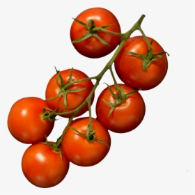 Transparent Tomatoes Png - Plum Tomato, Png Download, Free Download
