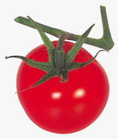 12574 - Plum Tomato, HD Png Download, Free Download
