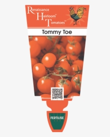 Tomato Heirloom "tommy Toe - Renaissance Herbs, HD Png Download, Free Download