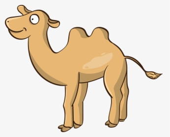 Camel, The Mehari, Nar, Dromedary, Cartoon, Steppe - Animasi Unta Vektor, HD Png Download, Free Download