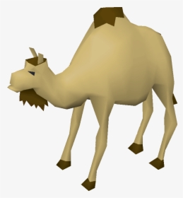 Clip Art Cam The Old School - Old School Runescape Camel, HD Png Download, Free Download
