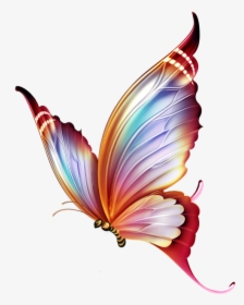 Mariposas Png - Butterfly Drawing On Colour Pencil, Transparent Png, Free Download