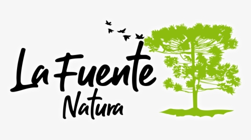 Ambiental Consecuencia De La Deforestacion, HD Png Download, Free Download