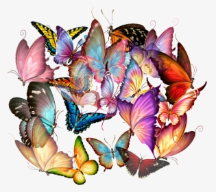 Mariposas Png Hd - Papilio, Transparent Png, Free Download