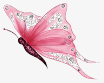 Imagenes De Mariposas Png , Png Download - White Butterfly Png, Transparent Png, Free Download