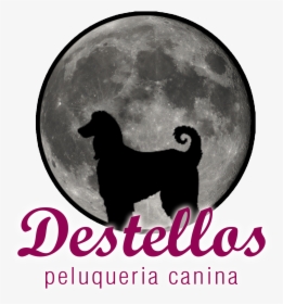 Destellos Peluqueria Canina En Alhaurin De La Torre - Full Moon, HD Png Download, Free Download
