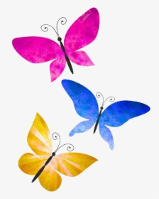 #mariposas #colores #butterfly - Mariposas De Colores En Png, Transparent Png, Free Download