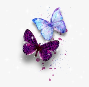 Watercolor Butterfly Butterflywings Mariposa Sticker - Sticker Mariposas, HD Png Download, Free Download