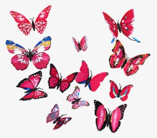 Butterfly Wall Art Png, Transparent Png, Free Download