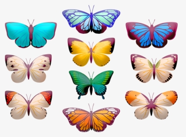 Mariposa Clip Art, Mariposas, Insectos, Mariposa - Clip Art Butterfly, HD Png Download, Free Download