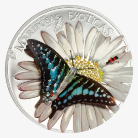 Equatorial Guinea 2015 1000 Francos Exotic Butterflies - Silver Coin, HD Png Download, Free Download