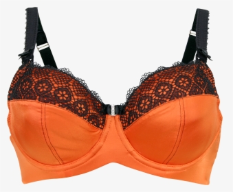 Featured image of post Bra Png Photo