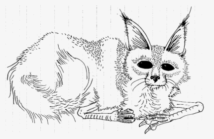 Download Where The Wild Things Are Coloring Pages At - Doodle, HD Png Download, Free Download