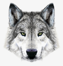 Transparent Big Bad Wolf Clipart - Wolf Face, HD Png Download, Free Download