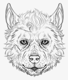 Transparent Wolf Head Clipart Black And White - Wolf, HD Png Download, Free Download