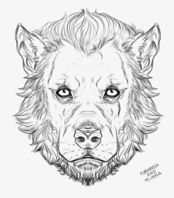 Wolf Faces - Sketch, HD Png Download, Free Download
