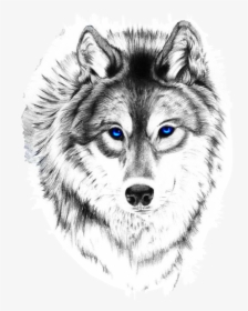 Wolf And Moon Tattoo, Wolf Face Tattoo, Wolf Tattoo - Blue Eyed Wolf Tattoo, HD Png Download, Free Download