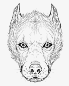 Faces Billee By Furiarossaandmimma - Sketch, HD Png Download, Free Download