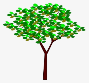Tree, Tree Random, Plant, Garden, Nature, Leaves, Field, HD Png Download, Free Download