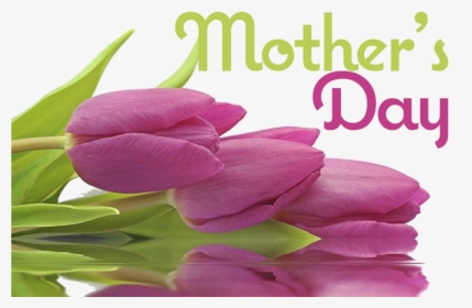 Closed For Mothers Day, HD Png Download, Free Download