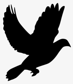 Wing,bird,claw,beak,clip Art,silhouette,black And White - Pigeon Png Icon, Transparent Png, Free Download