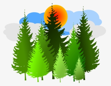Pine Trees Clip Art, HD Png Download, Free Download
