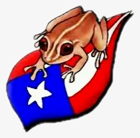 Transparent Puerto Rico Png - Coqui Puerto Rico Flag, Png Download, Free Download