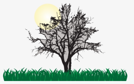 Tree Euclidean Vector Illustration - Animals At Night, HD Png Download, Free Download