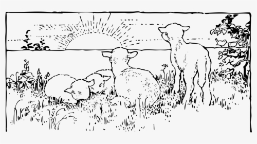 Lambs At Sunrise Clip Arts - Sun Rise Black And White, HD Png Download, Free Download