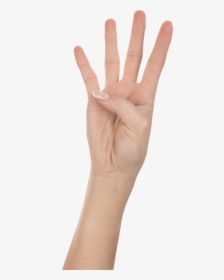 Four Finger Hand Png Image - 4 Finger Hand Png, Transparent Png, Free Download