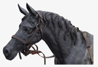 Horse, Horse Head, Portrait, - صورة حصان نحت, HD Png Download, Free Download