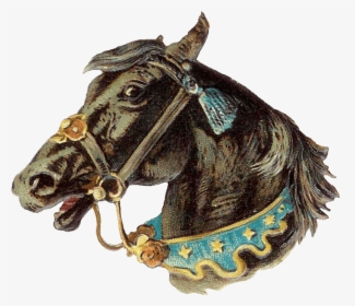 Vintage Horse Head Png - Horse Vintage Png, Transparent Png, Free Download