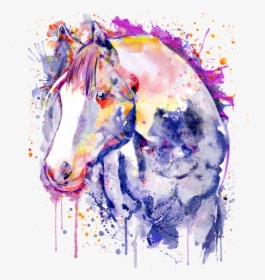 Drawing Horse Head Watercolour, HD Png Download, Free Download