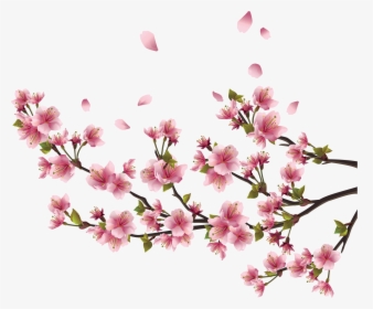 Sakura Png Free Background - Sakura Png, Transparent Png, Free Download