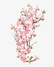 Sakura Png, Transparent Png, Free Download
