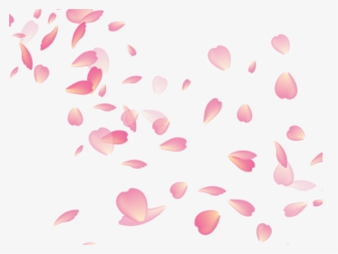 Sakura Blossom Clipart Transparent Background - Cherry Blossom Leaves Vector, HD Png Download, Free Download