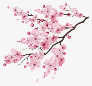 Games Sakura - Realistic Cherry Blossom Art, HD Png Download, Free Download