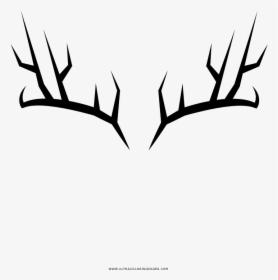 Antlers Coloring Page - Deer, HD Png Download, Free Download