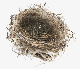 Nest Png Transparent Images - Bird Nest Transparent, Png Download, Free Download