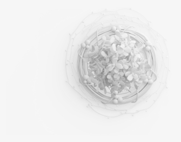 Drawing Web Nest - Sketch, HD Png Download, Free Download