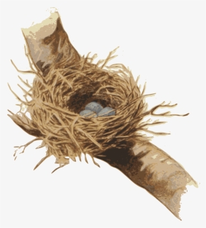 Nest,bird Nest,plant - Root, HD Png Download, Free Download