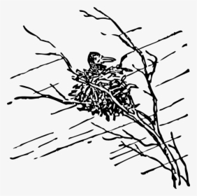Bird In Nest Svg Clip Arts - Storm Clip Art Black And White, HD Png Download, Free Download