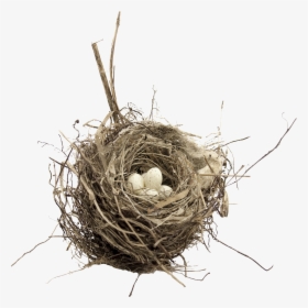 Bird Nest Transparent , Png Download - Birds Nest Transparent Background, Png Download, Free Download