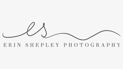 Erin Shepley Photography - Calligraphy, HD Png Download, Free Download